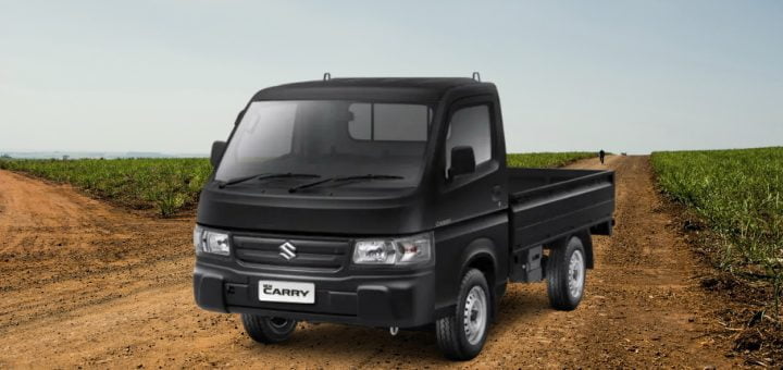 Suzuki Carry Pickup Futura